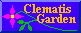 クレマチス・ガーデン (clematis garden)