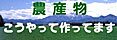 農産物こうやって作ってます